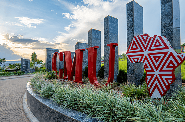 Student studying with laptop